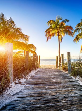 AdobeStock_66652797 (1) cropp