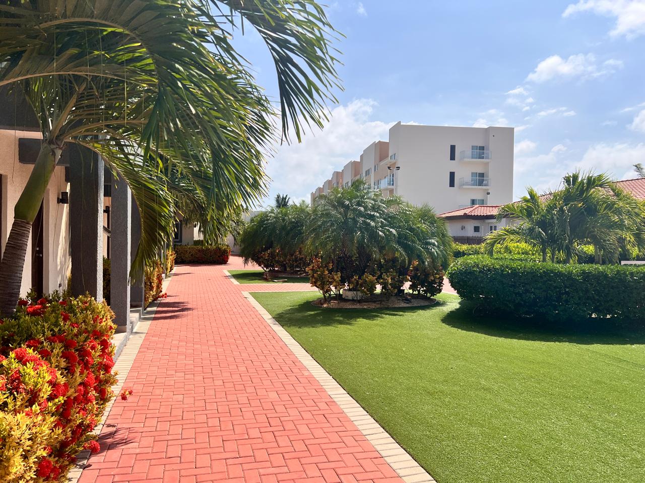 WhatsApp Image 2025-02-24 at 11.50.37 AM