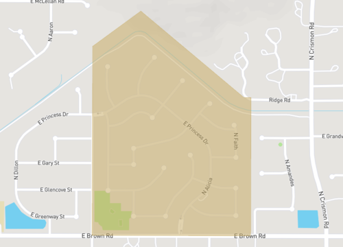 saguaro mountain.png