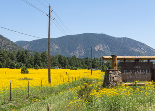 Entering,Sign,Flagstaff,In,A,Mountain,Landscape,With,Yellow,Flowers