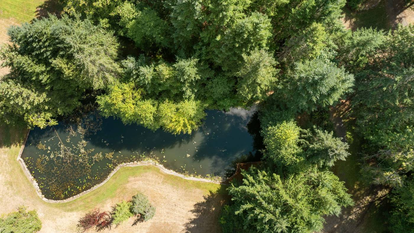 Overhead view of the private pond