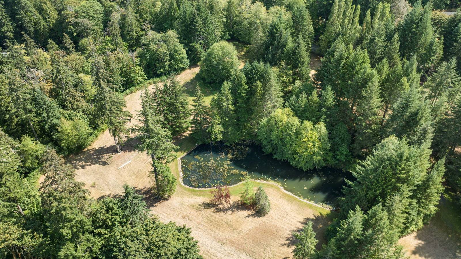 Aerial of the open acreage and pond ringed by evergreens