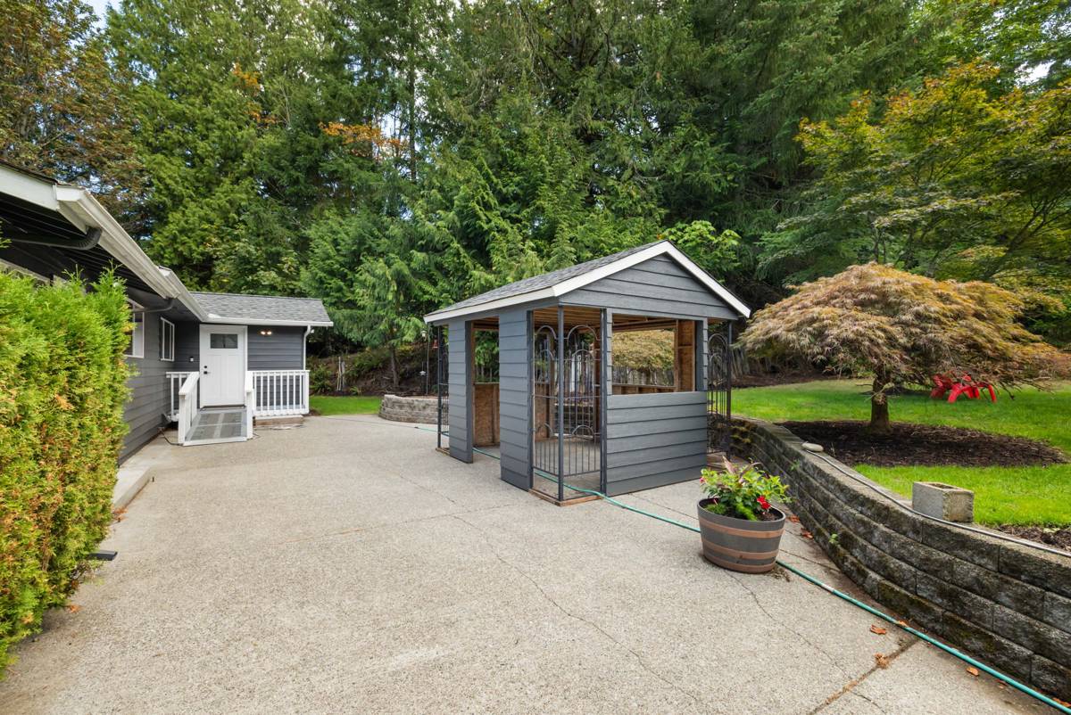 Walkway to the cabana with a Japanese maple