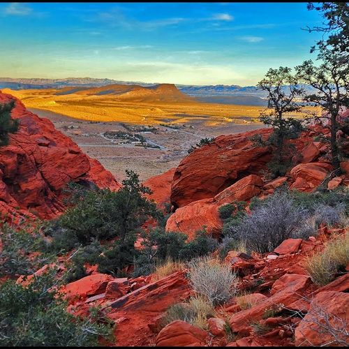 Outdoor Activities in La Madre Foothills