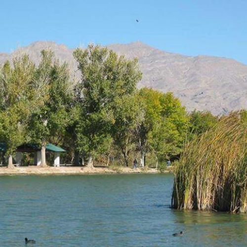 Visiting Floyd Lamb Park: A Year-Round Retreat in Northwest Las Vegas