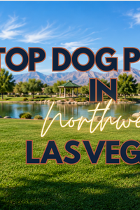 Top Dog Parks in Northwest Las Vegas