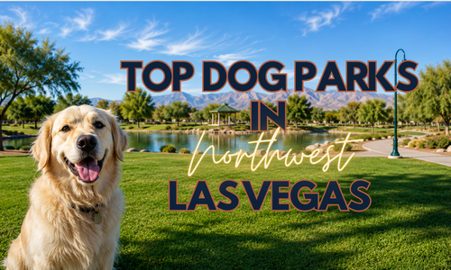 Top Dog Parks in Northwest Las Vegas