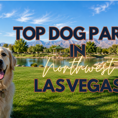 Top Dog Parks in Northwest Las Vegas