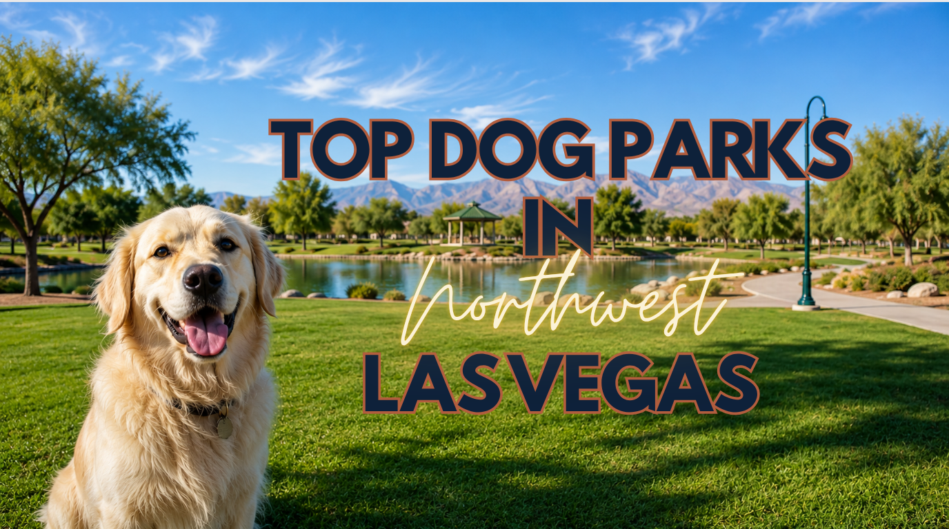 Top Dog Parks in Northwest Las Vegas
