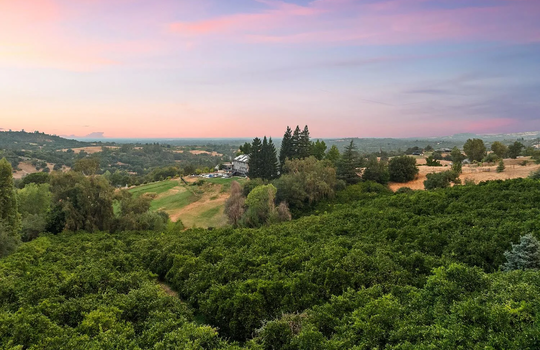 451ab920a76b8cfbb75ebb4847a1aef2-cc_ft_1536