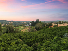 451ab920a76b8cfbb75ebb4847a1aef2-cc_ft_1536