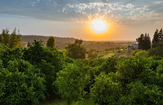 dd1efb224bb8ec9a0683b7acb2b5d493-cc_ft_768