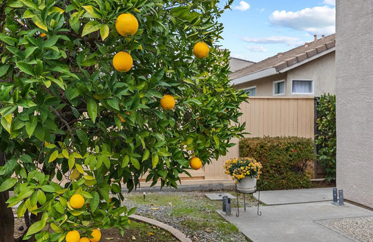 046_acd2f8dff0b1f3f46e0093af94085aa0-uncropped_scaled_within_1536_1152