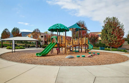 076_d240e52dd399e9e0cc1c30486287925e-uncropped_scaled_within_1536_1152