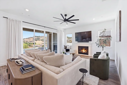 image (65)
