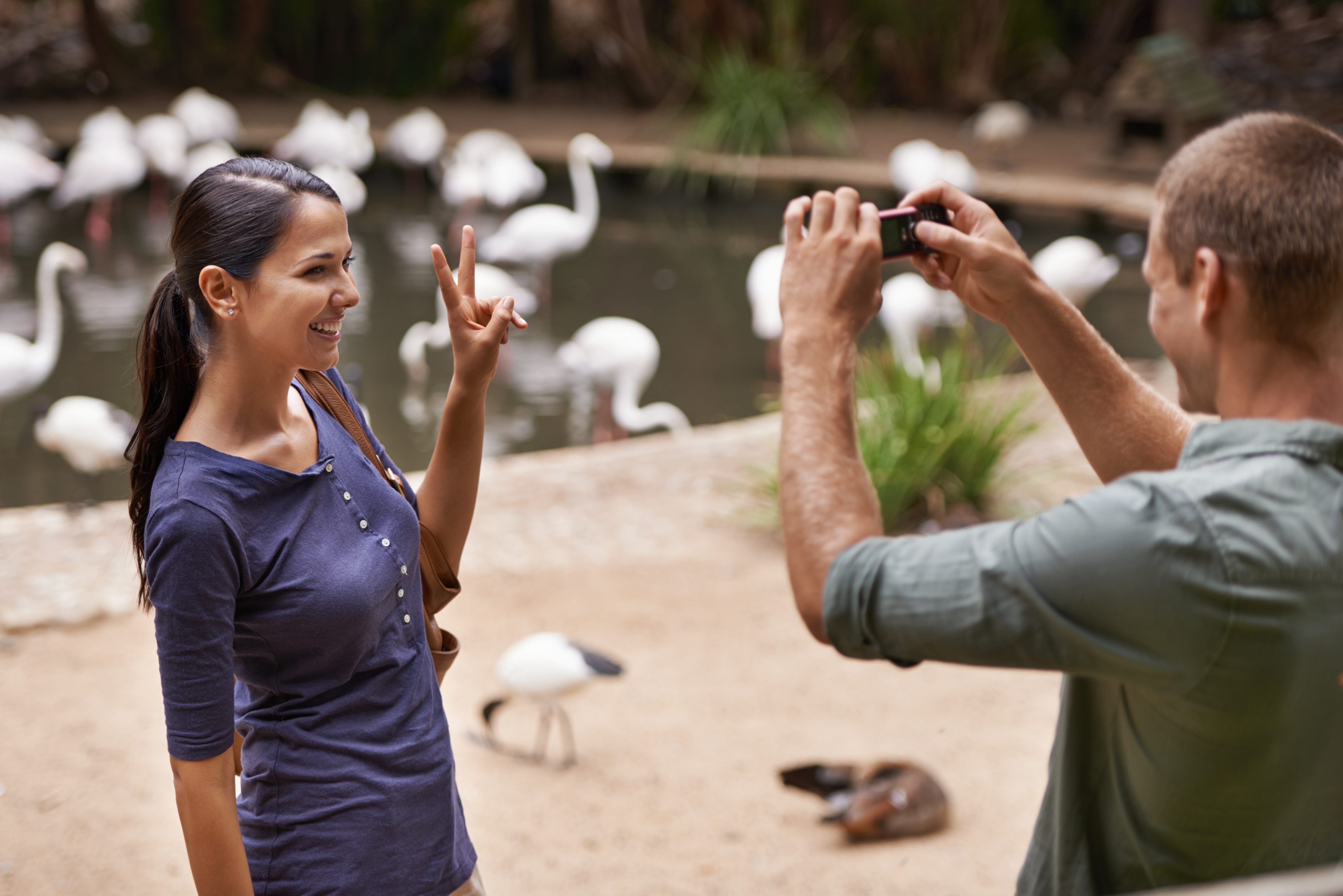 Zoos are not just for kids. Shot of a couple enjoying a day at the zoo