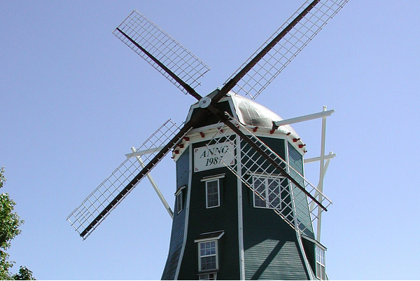 ADU-DADU Links IMG 4