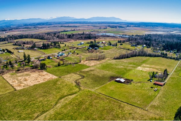 ADU-DADU Links IMG 5