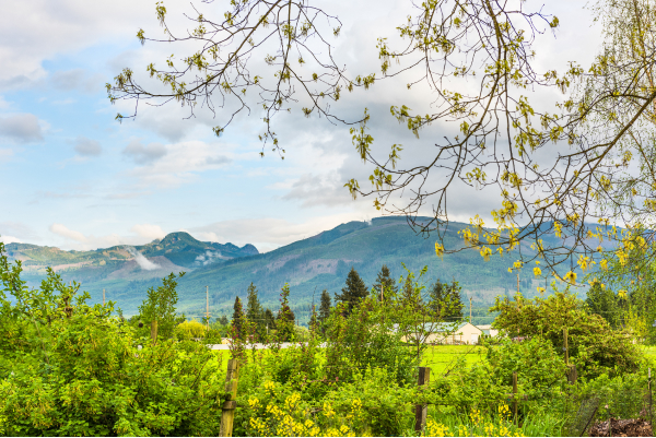 Whatcom County ADUDADU