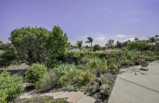 26 - Plants 2 - AR504138-USE-Edit copy