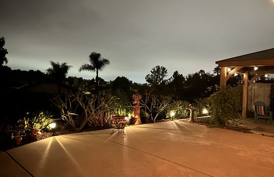 27 - Plants 3 - Night Shot