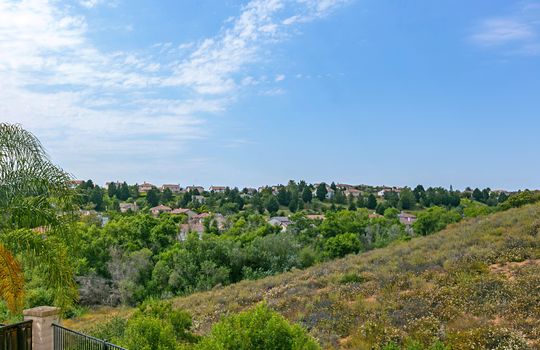 View - 5322 Willow Walk