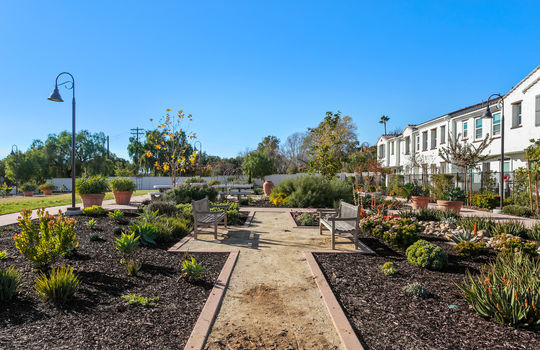 zMission Lane - Park 4
