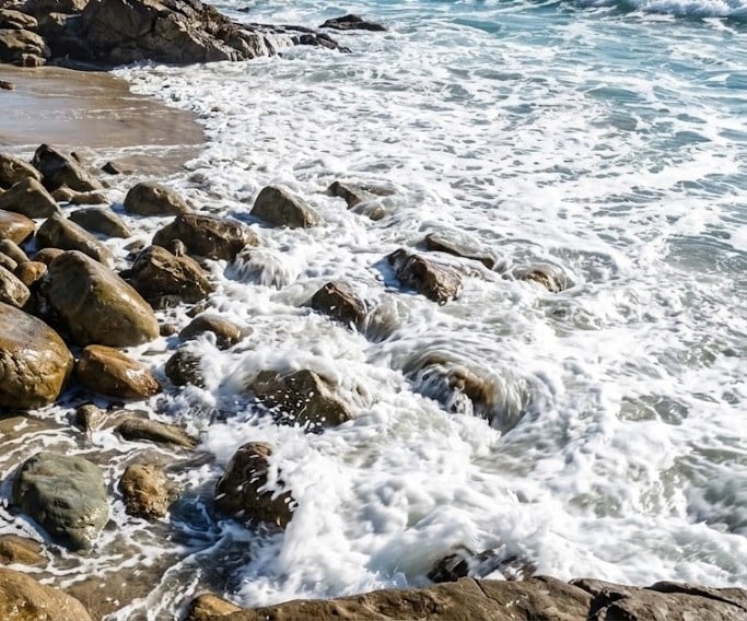 blog what the beach is telling us