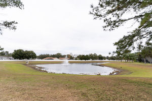 1028_Cinnamon_Fern_Ct_Casselberry_FL_32707_USA-Exterior-DSC09080