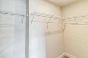 24_6160_Elfin_Herb_Wy_Winter_Garden_FL_34787_USA-Others-DSC07419