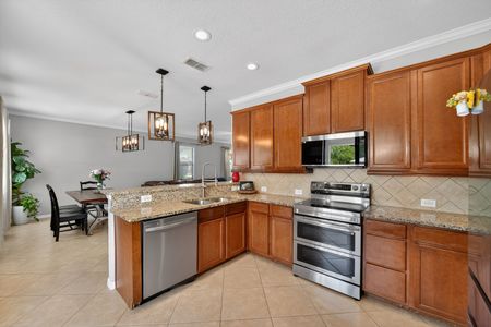 19_1973_Fishtail_Fern_Way_Ocoee_FL_34761_USA-Kitchen-DSC_9780