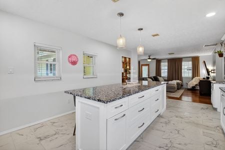 26_4536_Simmons_Rd_Orlando_FL_32812_USA-Kitchen-IMG_0537_8_9