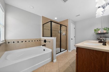 28_1973_Fishtail_Fern_Way_Ocoee_FL_34761_USA-Bathroom-DSC_9829