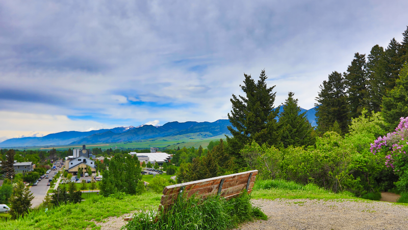 Bozeman