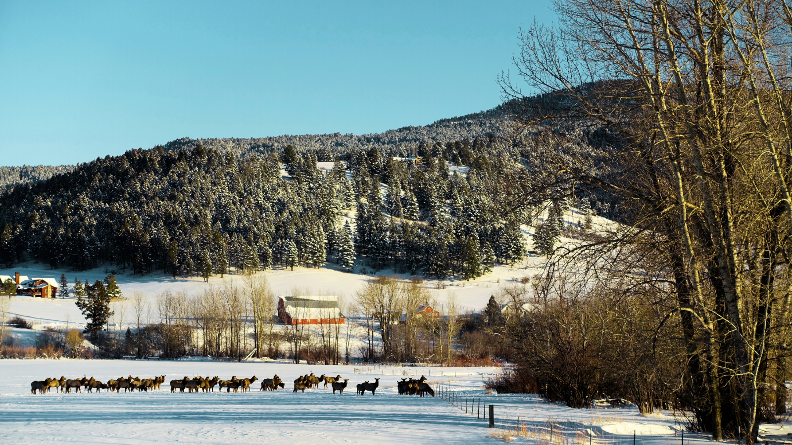 Bozeman-Montana-Neighborhoods-Outskirts