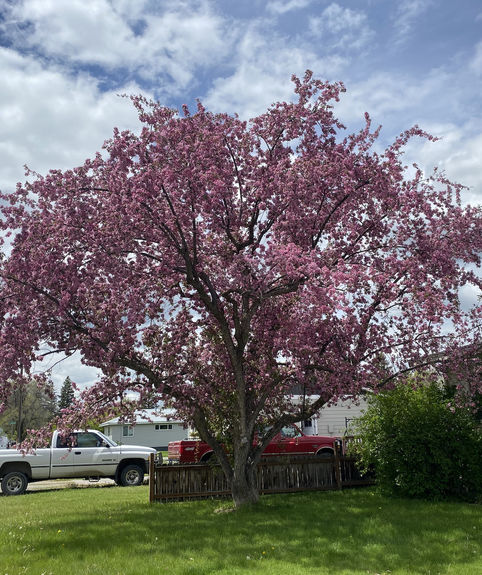 649710FF-05AD-4087-8046-7D06068B7F11