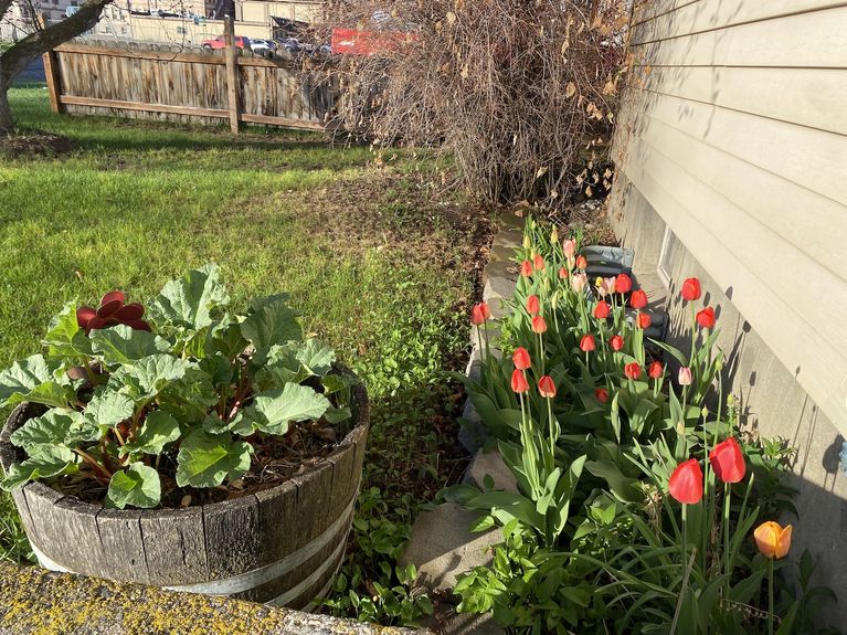 6B3254B3-3215-48B0-BBEE-3B41B2D4DAAB