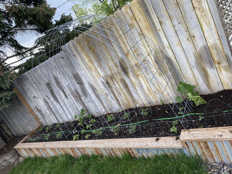 899A774E-32F8-4F6B-923F-560FB197D136