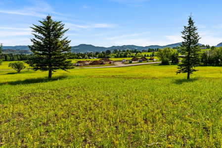 22-web-or-mls-DSC05165-768x513