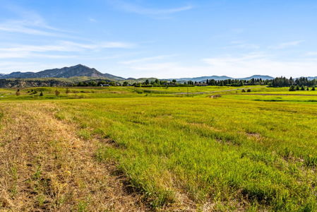 23-web-or-mls-DSC05157-768x513