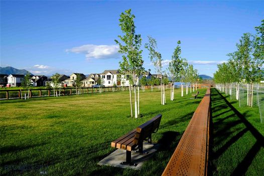 Blackwood Groves Subdivision