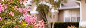 Email Header (29)