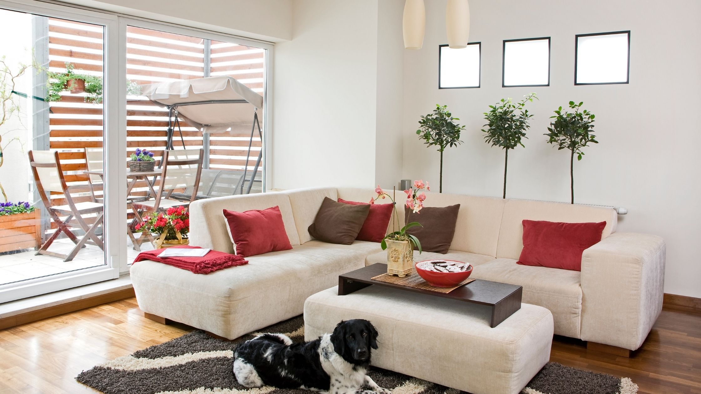 What Should I Expect During the Negotiation Process &hellip;