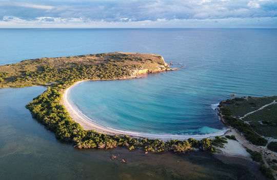 CaboRojo3-ezgif.com-avif-to-jpg-converter