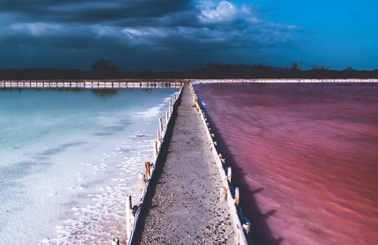 CaboRojo4-ezgif.com-avif-to-jpg-converter