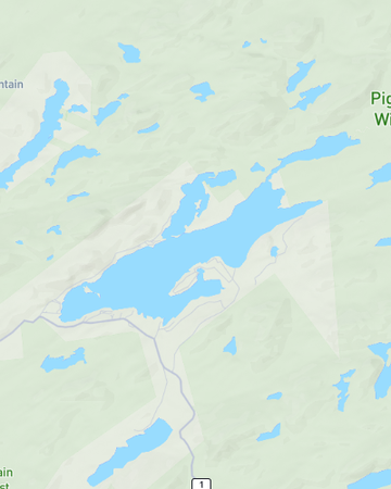 Big Moose and Twitchell Lake Area