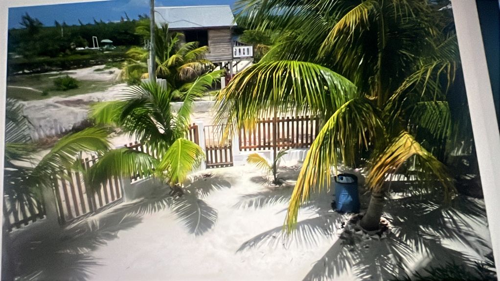 48EE232A-F082-45BE-AA36-0085AB88FBDD