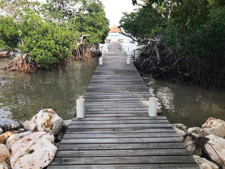 PHOTO-2024-08-25-18-10-07