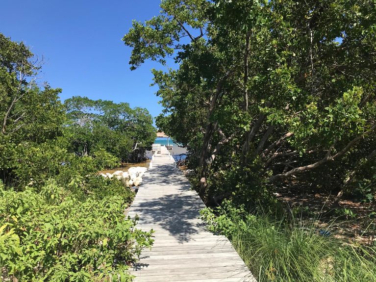 PHOTO-2024-08-25-20-04-20