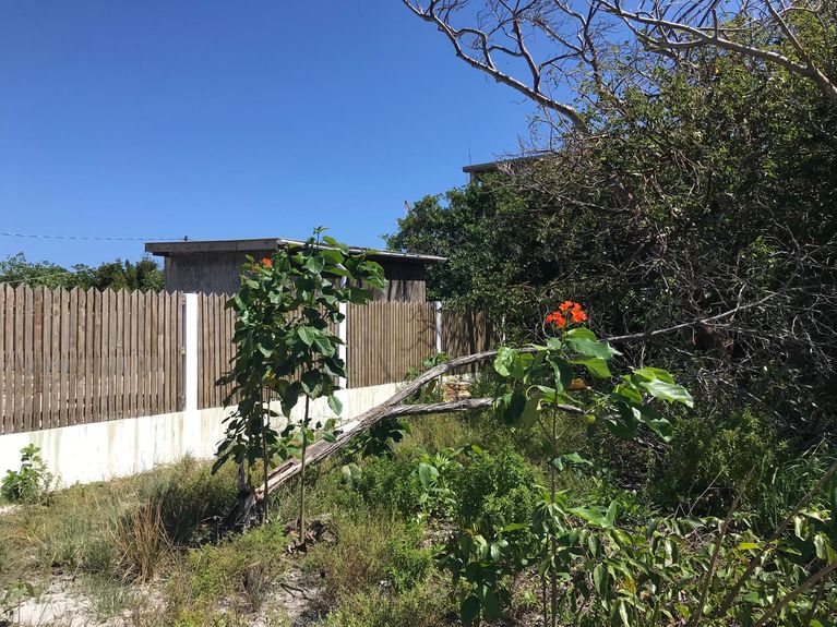 PHOTO-2024-08-25-20-07-18